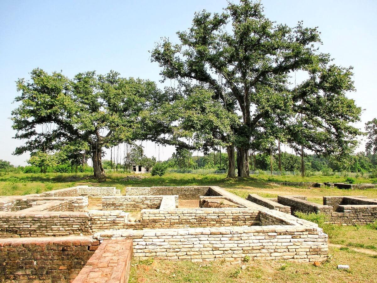 Arbres de la Bodhi Arbres de la Bodhi, au milieu de l'ancien marché de Sirpur