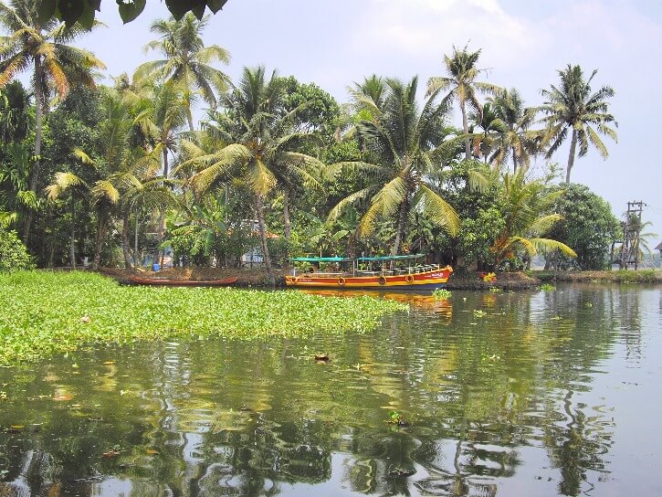 How to visit Alleppey backwaters in Kerala India