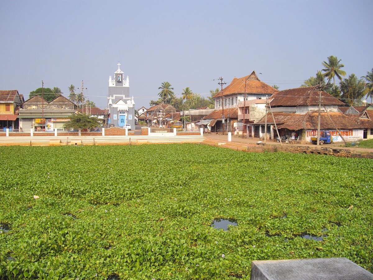 important tourist Places to visit in Kerala backwaters: Changanacherry and the ferry ride from Alleppey