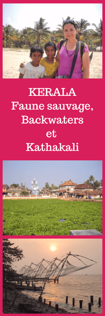 Guide complet pour préparer votre voyage au Kerala Inde du Sud