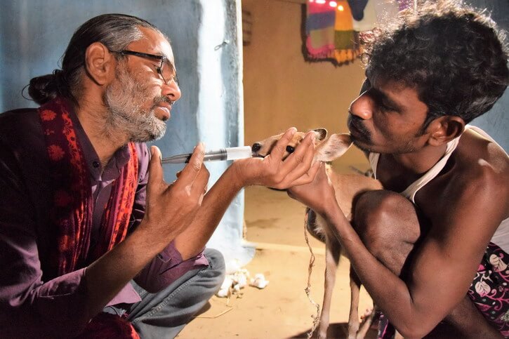 Shakeel and the Tribal guy who rescued the barking deer giving him vitamins with a syringe