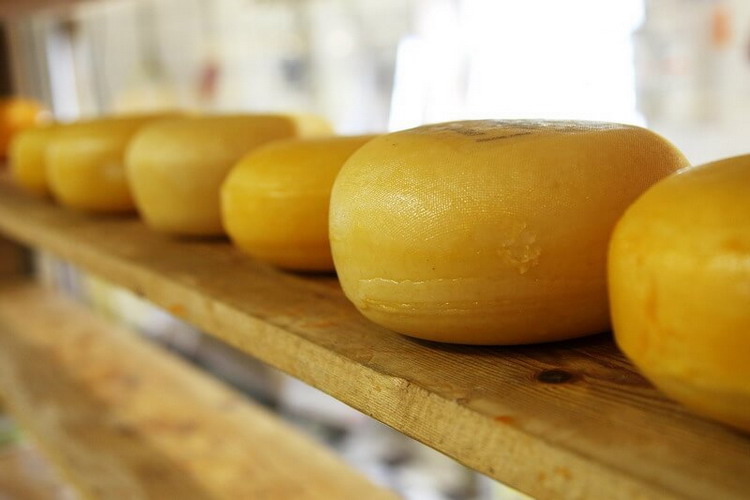 Roues de fromage de brebis Ardi-gasna