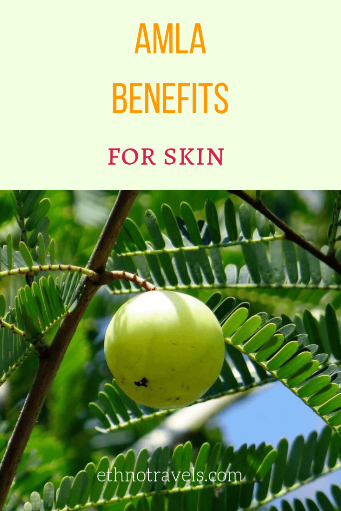 The benefits of amla for skin