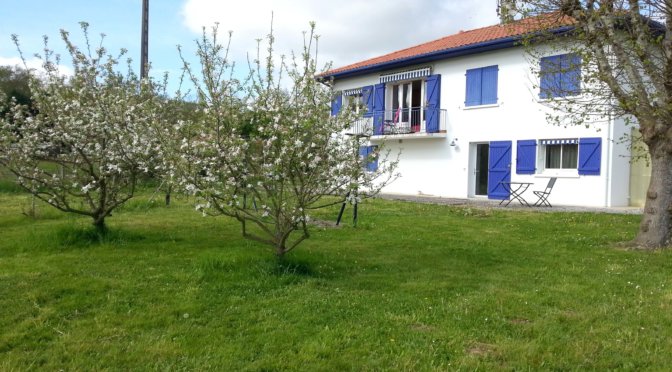 the white and blue house seen from the orchard