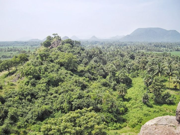 The Buddhist site in the middle of greenery