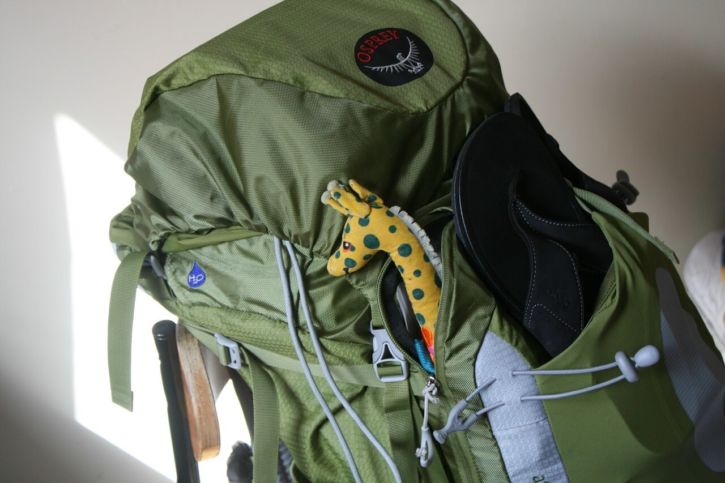 Why to choose a backpack to travel