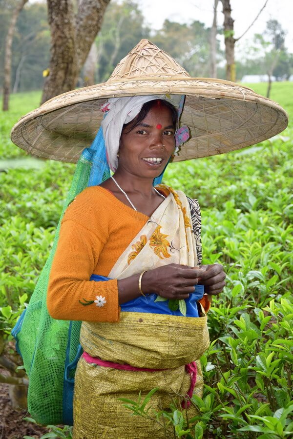 The beautiful smile of a woman from the tea tribe in Assam, working in the plantation