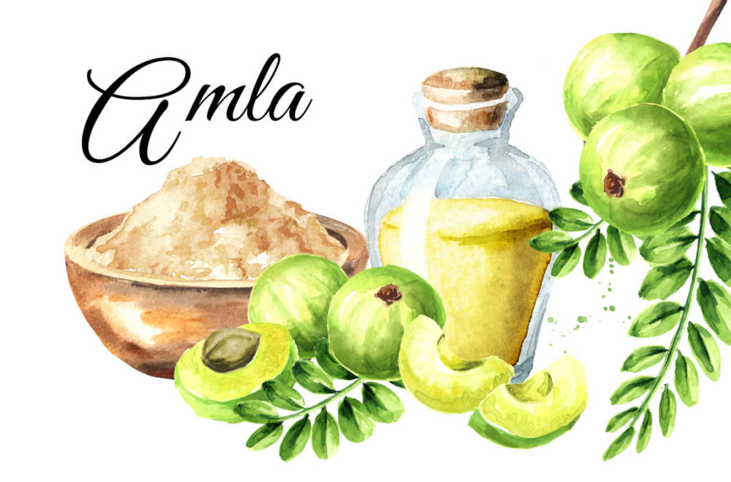 Different forms of amla