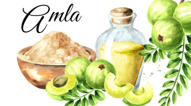 Different forms of amla