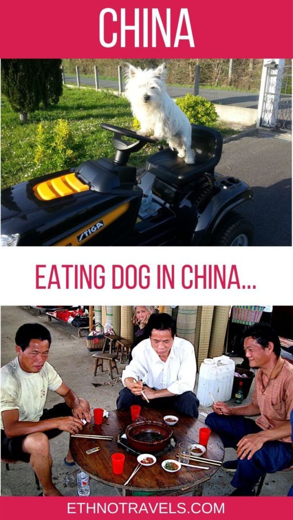 Eating dog meat in China Pin