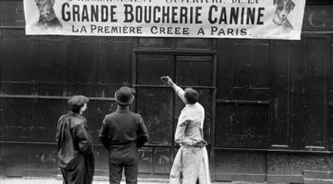 Boucherie canine à Paris