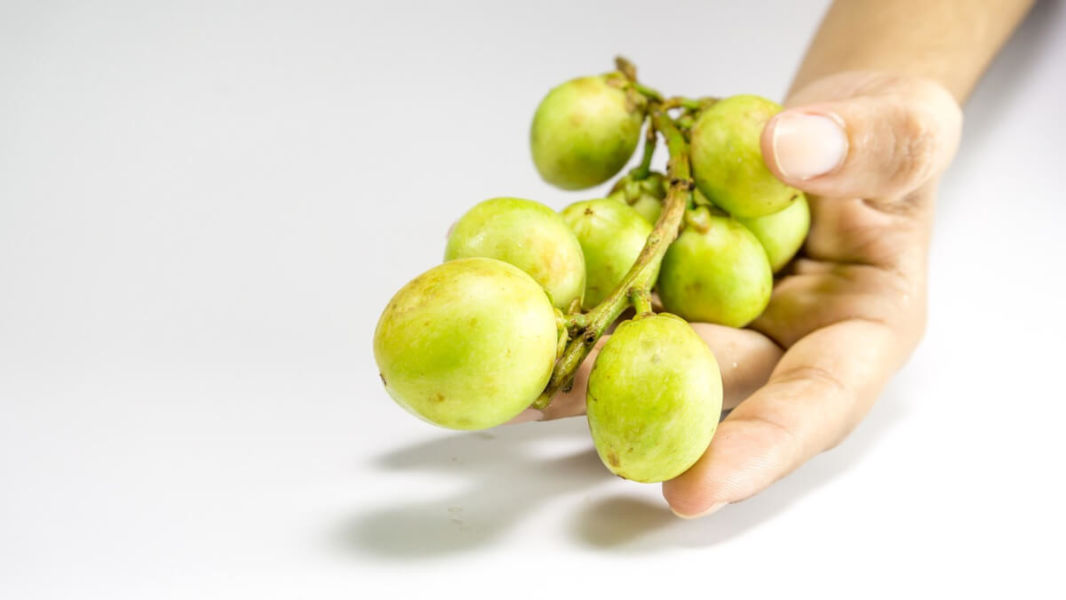 Comprimés amla pour la santé