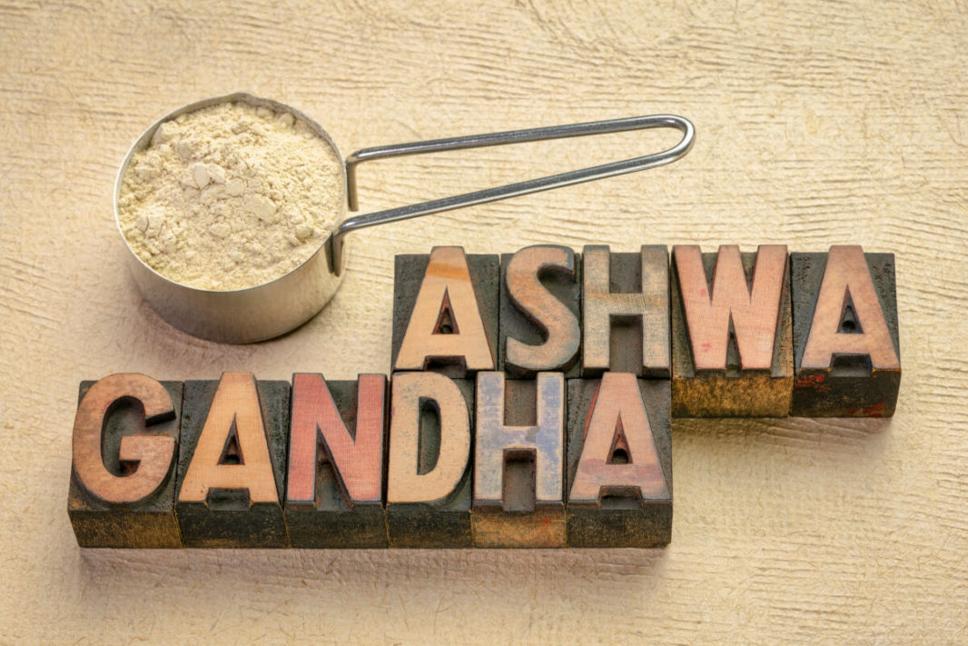 Ashwagandha or Whitania Somnifera or Indian Ginseng