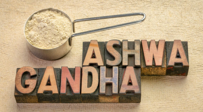 Ashwagandha: All you Need to Know about Withania Somnifera