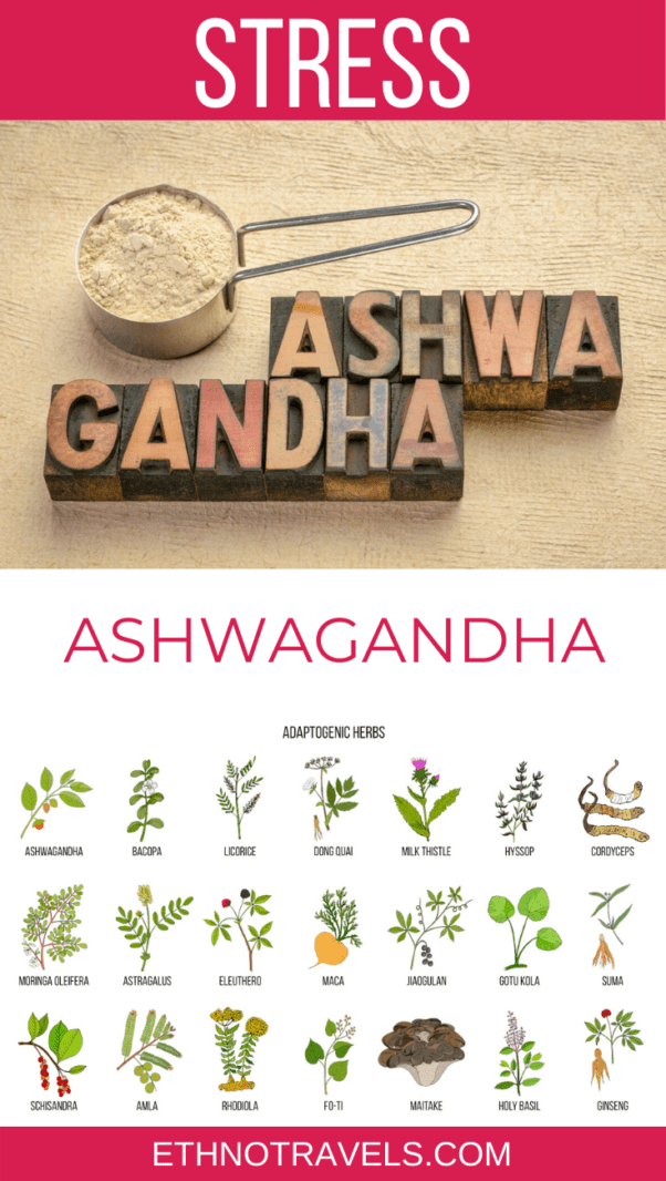 ashwagandha or withania somnifera or Indian ginseng