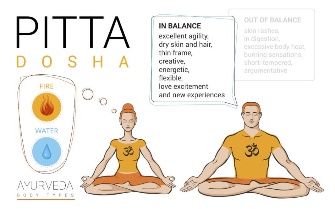 Pitta body type characteristics