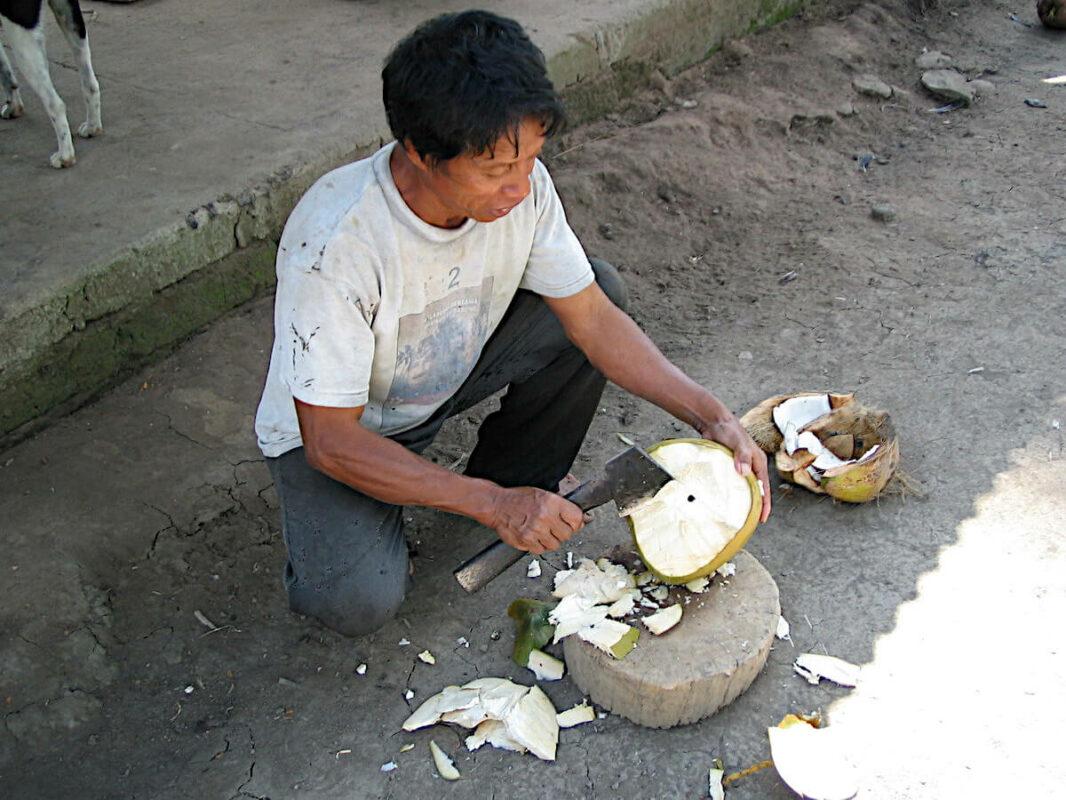 Préparation de coco